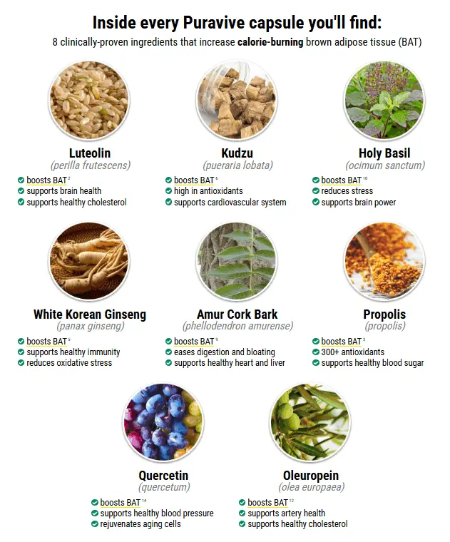 puravive ingredients